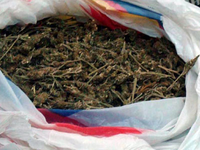 Συνέλαβαν πατέρα και γιο με ένα κιλό κάνναβη