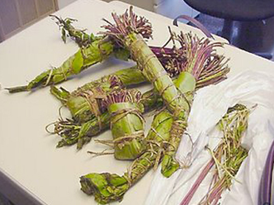 Συλλήψεις για ναρκωτικά