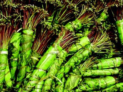 Μετέφερε 18,5 κιλά KHAT