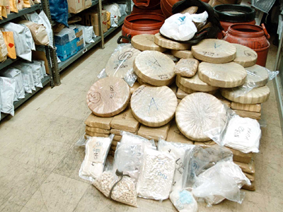 Συνελήφθη μεγαλέμπορος κοκαΐνης στην Καλλιθέα