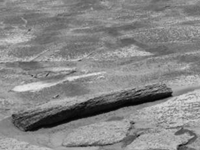 Βρέθηκε κομμάτι ξύλου στον Άρη;