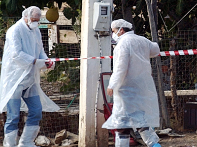 Σε καραντίνα πτηνοτροφείο στον Έβρο λόγω σαλμονέλας