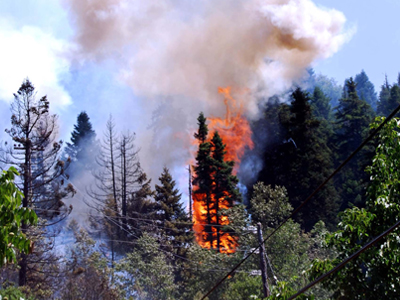Πυρκαγιά σε δασική έκταση στο Σούνιο