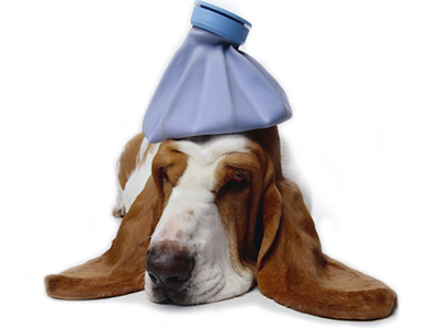 Προστατευτείτε από… τα φάρμακα!