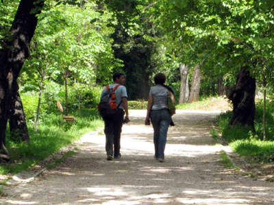 Εγκρίθηκε το Σύμφωνο Ελεύθερης Συμβίωσης, αλλά μόνο για ετερόφυλα ζευγάρια