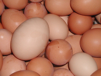 Αβγά να τα πιεις … στο μπουκάλι