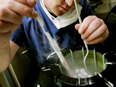 Λάθος έμβρυο σε λάθος γυναίκα