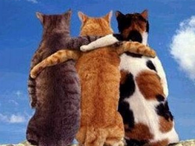 Σύννεφο το… κέρατο