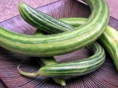 Ολική επαναφορά στα… κυρτά αγγούρια