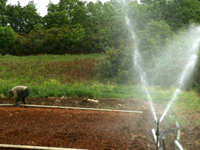 Αγροτικές επιδοτήσεις σε… αεροπορικές εταιρείες