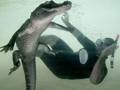 Κολύμπι… με κροκόδειλους