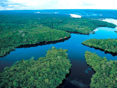 Πουλούσε το δάσος του Αμαζονίου!