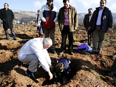 Μεγάλη συμμετοχή του κόσμου στην αναδάσωση Κοκκιναρά