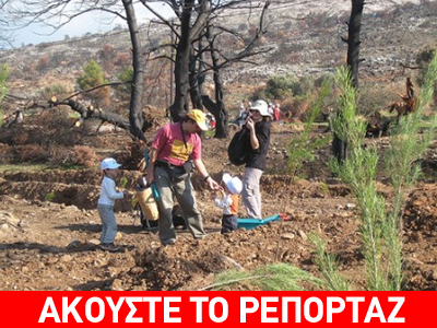 Αναδάσωση στο δάσος Κοκκιναρά