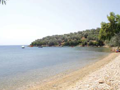 Εντόπισαν το πτώμα ένα χρόνο μετά