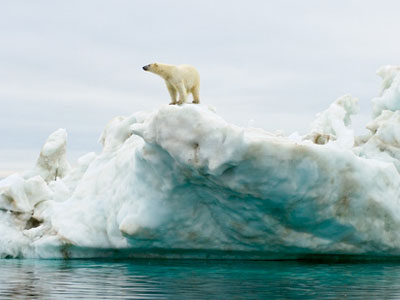 Ο Ομπάμα αρνείται να προστατέψει τις πολικές αρκούδες