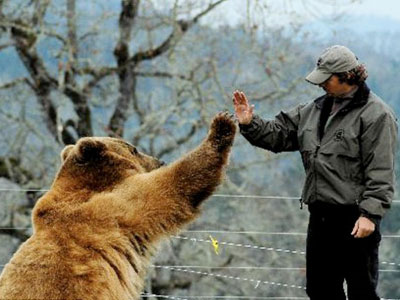 Τι κάνουμε αν συναντήσουμε αρκούδα; Συμβουλές από τον Αρκτούρο
