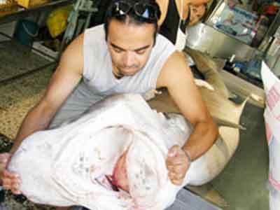 Ψάρεψε δυο μεγαλο… καρχαρίες στη Ζάκυνθο