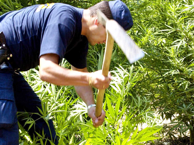 Μετά την χασισοφυτεία…τα καλάσνικοφ