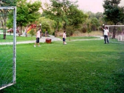 Ημέρα χωρίς σπορ…