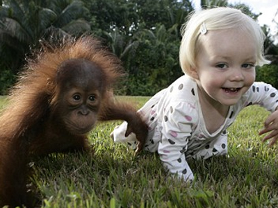 «Ο φίλος μου… ο ουρακοτάγκος»