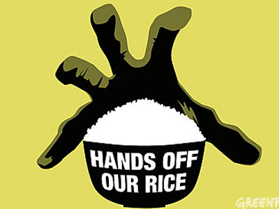 Ρύζι από την Bayer