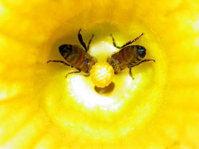 «Μαμά τι είναι το σεξ;»