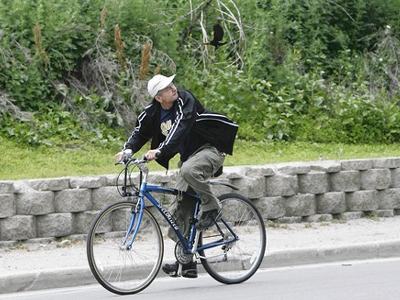 Τα “Πουλιά” του Χίτσκοκ ολοζώντανα