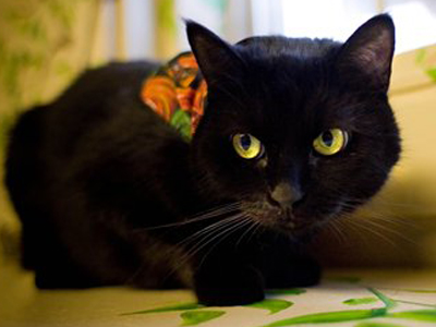 Την τύχη μου μέσα!