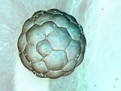 Βλαστοκύτταρα για την αντιμετώπιση καρδιακών προβλημάτων