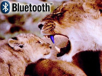 Πρώτες πληροφορίες στην επιφάνεια: ο διάδοχος του Bluetooth ορίστηκε και λέγεται «Bluetooth 3.0» – επίσημη παρουσίαση στις 21 Απριλίου