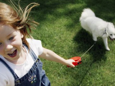 Σκυλιά εκπαιδεύονται για να βοηθούν τους διαβητικούς