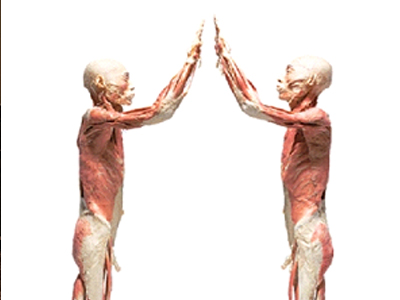 Bodies η έκθεση συνεχίζεται