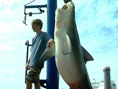 13χρονος ψάρεψε καρχαρία