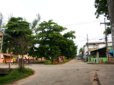 Δεκαπέντε νεκροί από βεντέτα εμπόρων ναρκωτικών