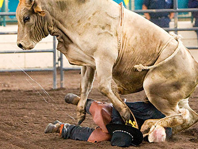 Τον καταπάτησε ταύρος και επέζησε από θαύμα