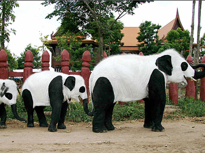 «Τίνος είναι βρε γυναίκα τα παιδιά»;