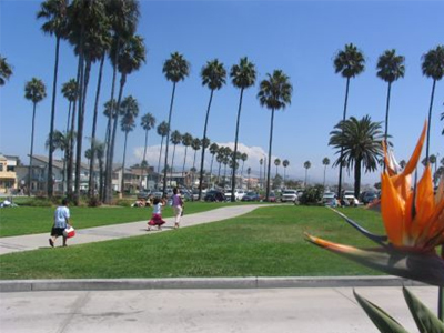 «Καταπράσινη» θα γίνει η Καλιφόρνια