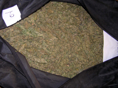 Διακινούσε λαθρομετανάστες και ναρκωτικά