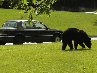 Και το όσκαρ ατυχίας πάει… σε μια έγκυο
