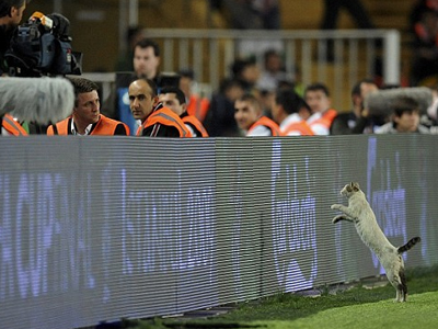 Το… πρόσωπο του τελικού
