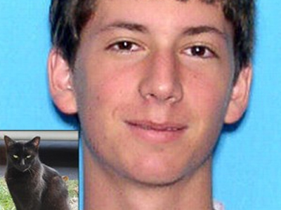 Συνελήφθη κατά συρροή δολοφόνος… γατών