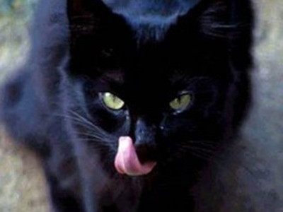 Για προχωρημένα… προληπτικούς