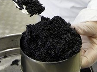 Χαβιάρι μπελούγκα για τους άπορους του Μιλάνου