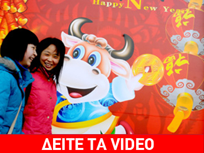 Γιόρτασαν τη χρονιά του… Βοδιού