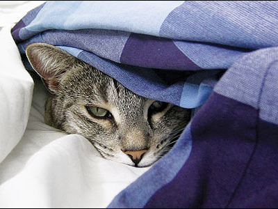 «Ώρα για… cocooning»