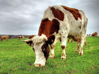 Όμορφη… από τη φύση!