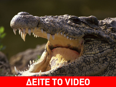 11χρονη κατασπαράχθηκε από κροκόδειλο