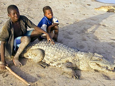 Παιδιά παίζουν με κροκόδειλους