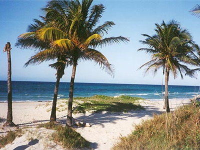 Γνώρισε τον άντρα της ζωής της στο γάμο της